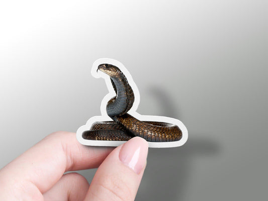 Wholesale Snake Sticker