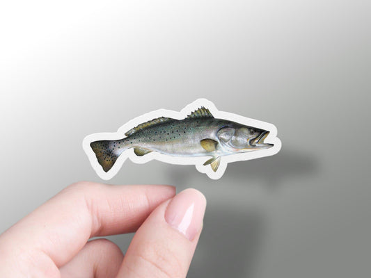 Wholesale Speckled Trout Sticker