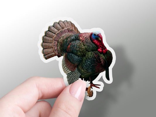 Wholesale Turkey Sticker