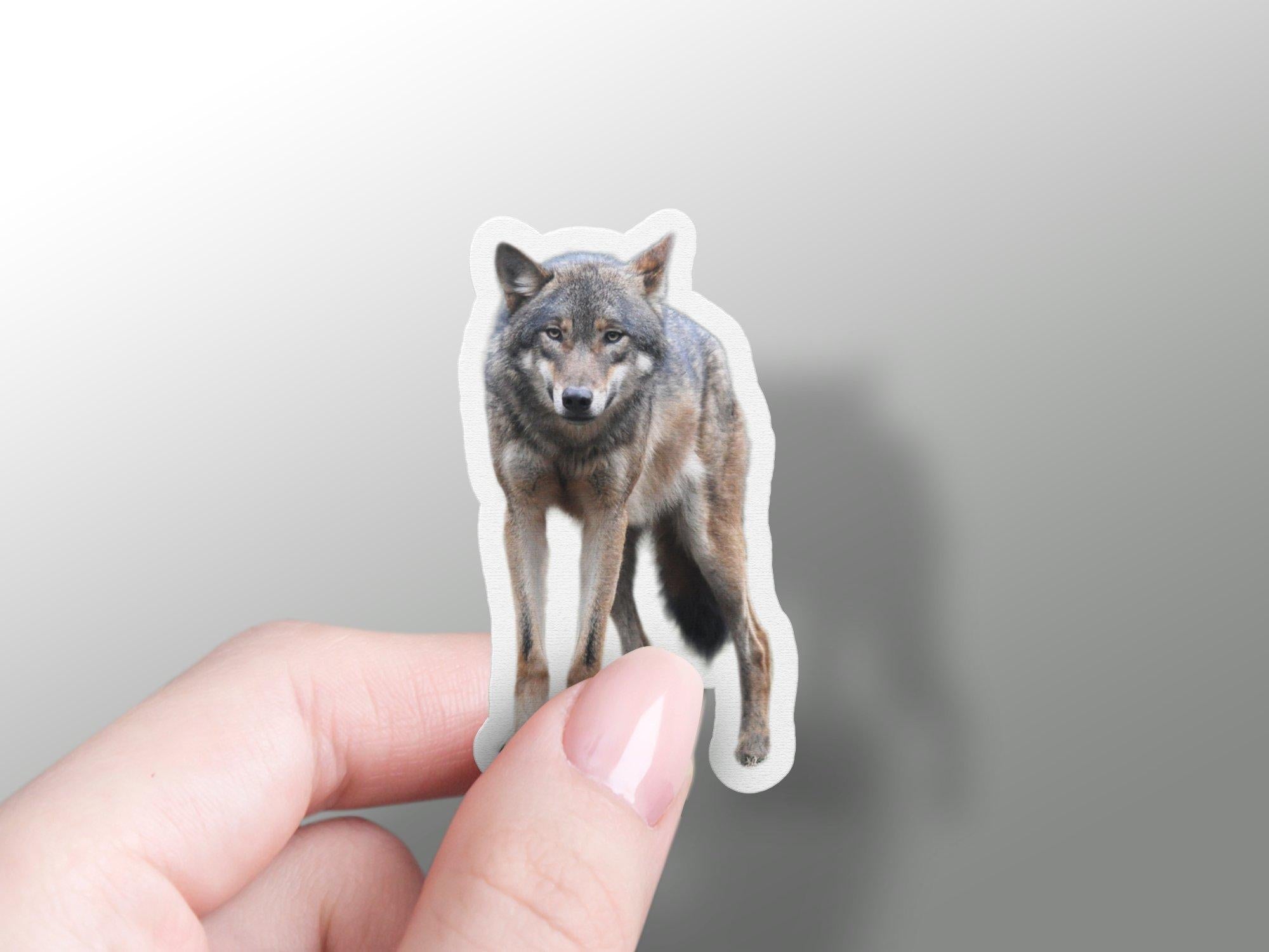 No Wolves Sticker Wholesale Wolf Sticker – GraffMerch.com