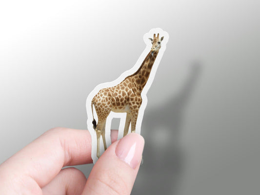 Wholesale Giraffe Sticker